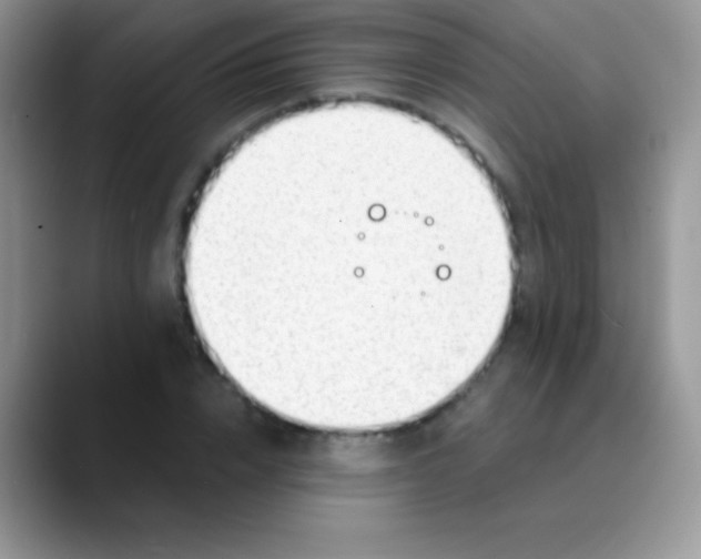 X0000089860832200707191919