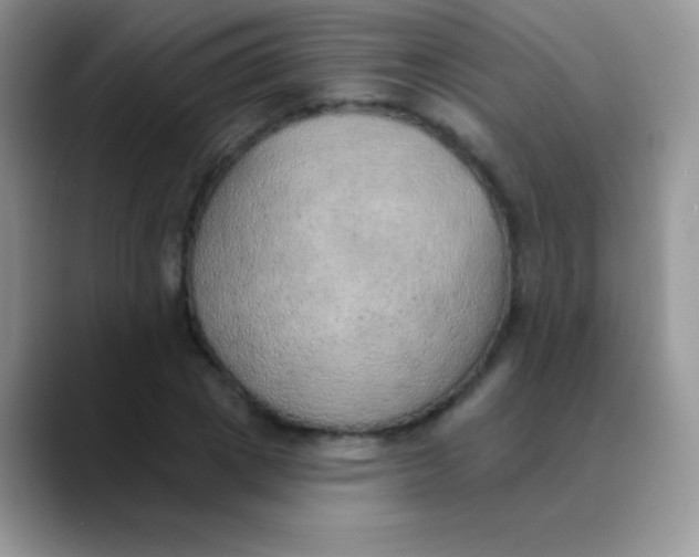 X0000089860833200707191919