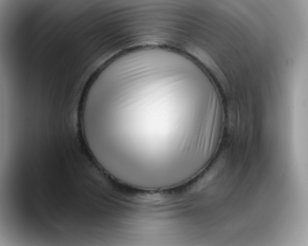 X0000089860834200707191919