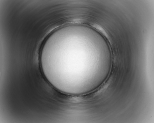 X0000089860835200707191919