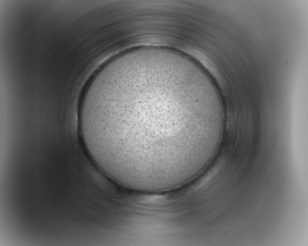 X0000089860837200707191919