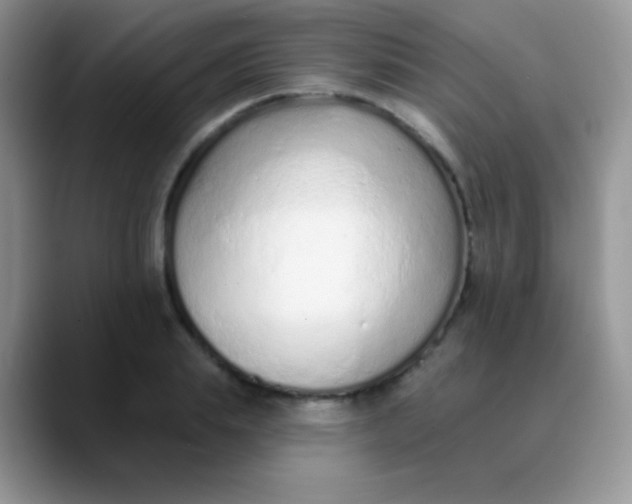 X0000089860839200707191919