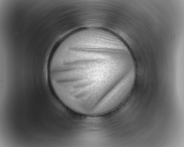 X0000089860840200707191919