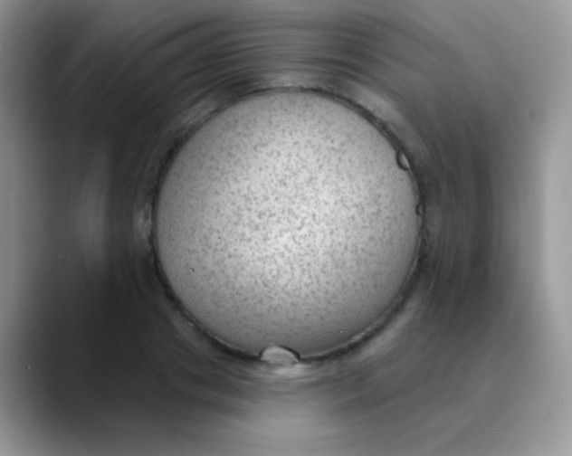 X0000089860841200707191919