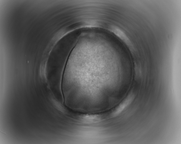 X0000089860842200707191919