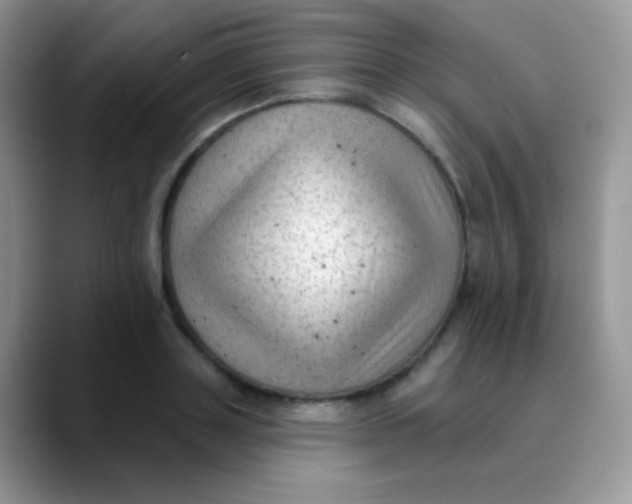 X0000089860843200707191919