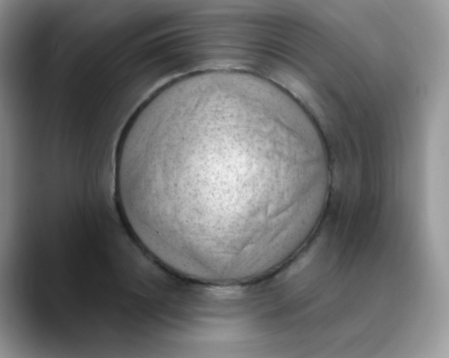 X0000089860844200707191919