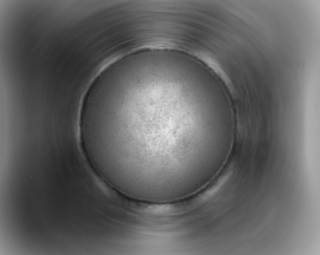 X0000089860845200707191919