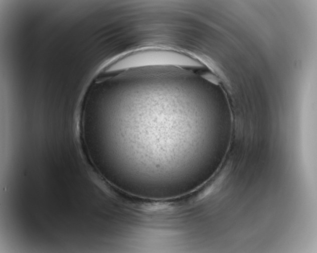 X0000089860846200707191919