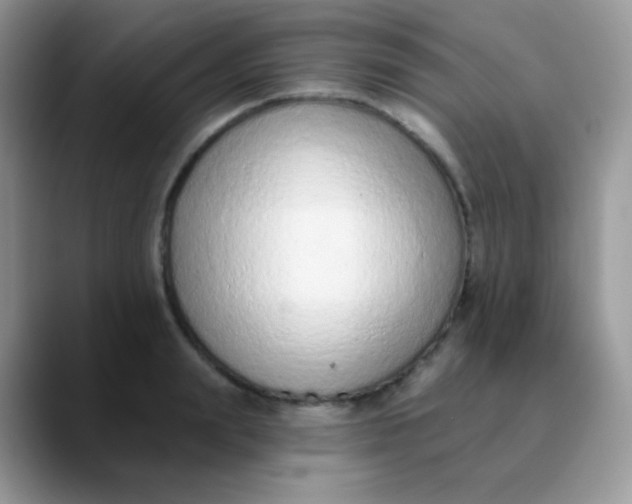 X0000089860847200707191919