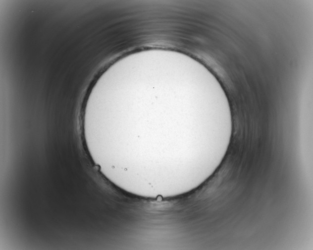 X0000089860848200707191919