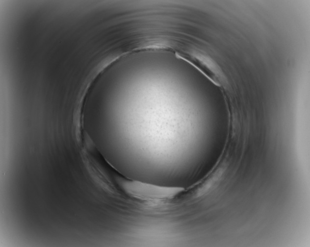 X0000089860850200707191919