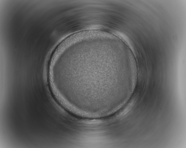 X0000089860851200707191919