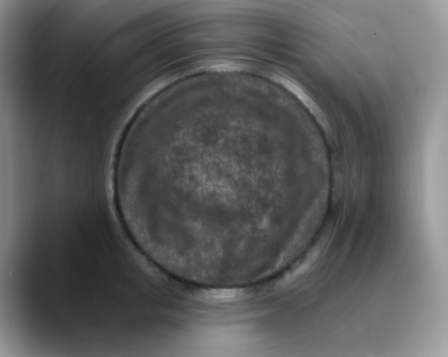 X0000089860853200707191919