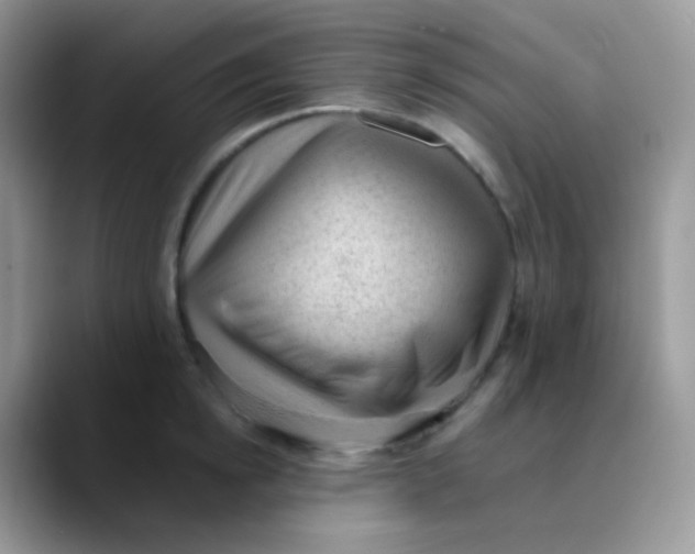 X0000089860854200707191919