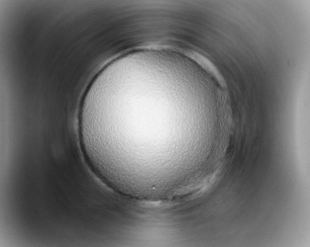 X0000089860855200707191919