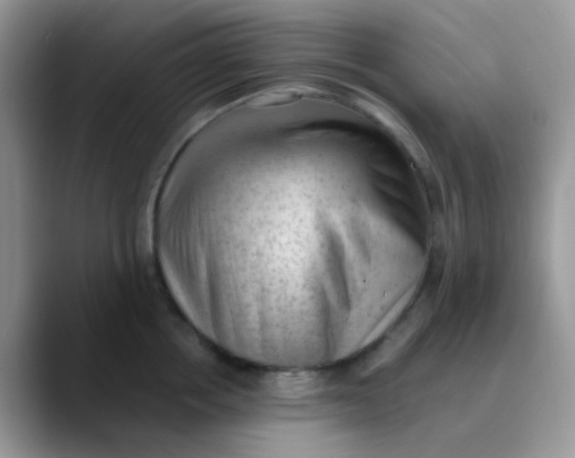 X0000089860858200707191919