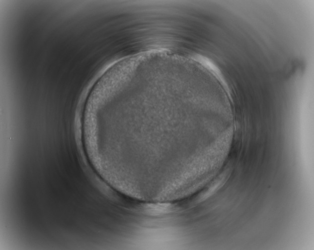 X0000089860859200707191919