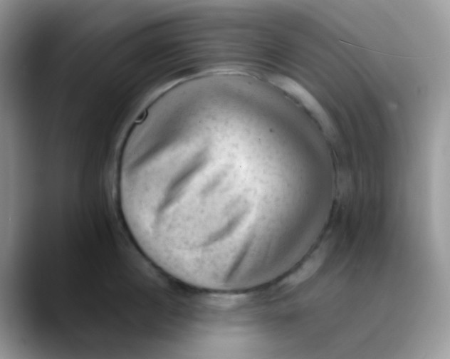 X0000089860860200707191919