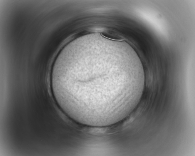 X0000089860861200707191919