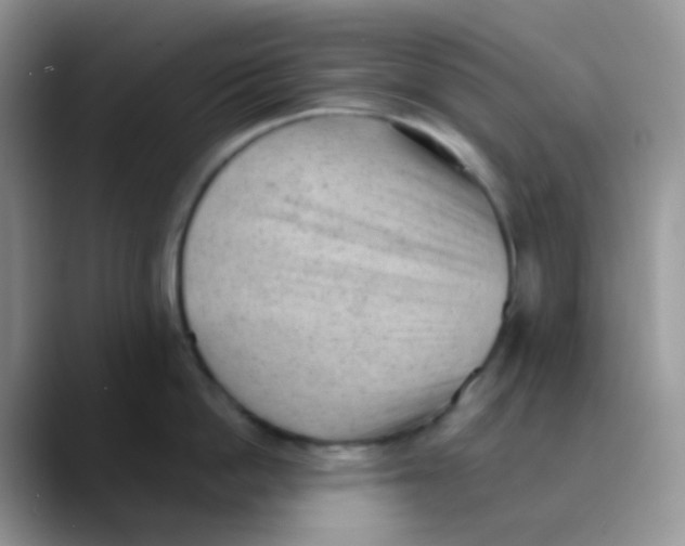 X0000089860862200707191919