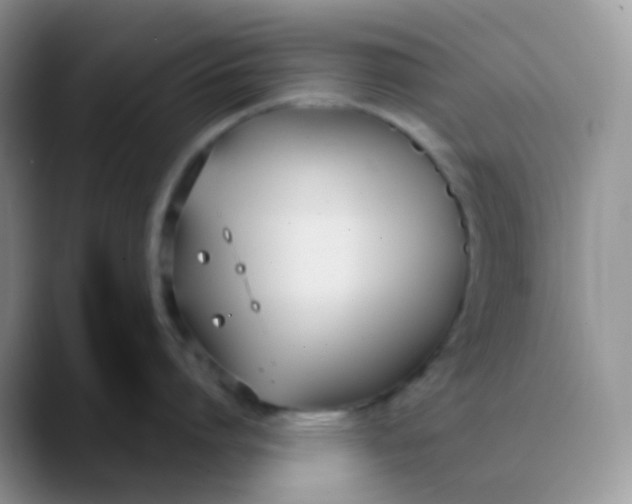 X0000089860864200707191919