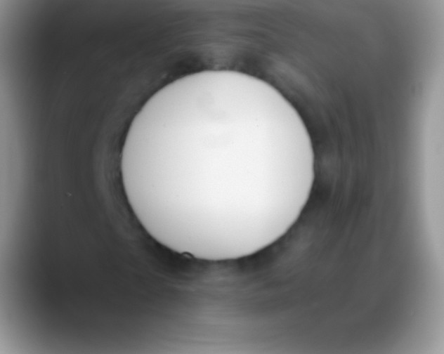 X0000089860865200707191918