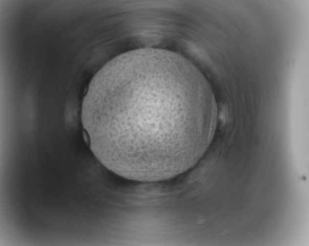 X0000089860867200707191918