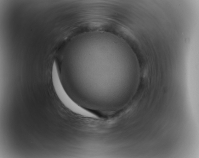 X0000089860868200707191918