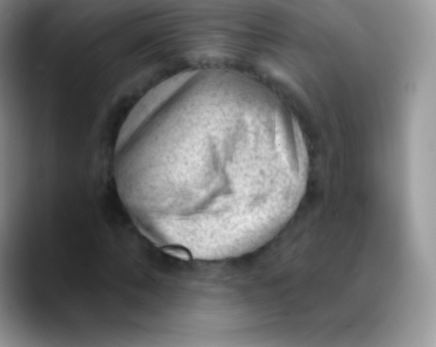 X0000089860870200707191918