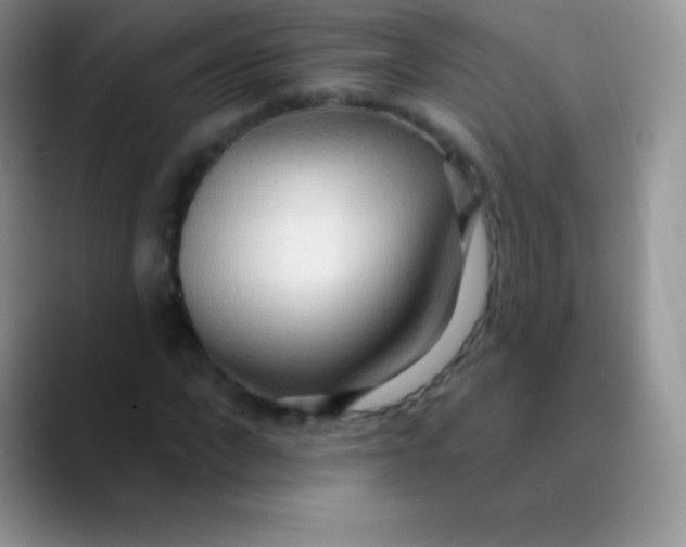 X0000089860872200707191918