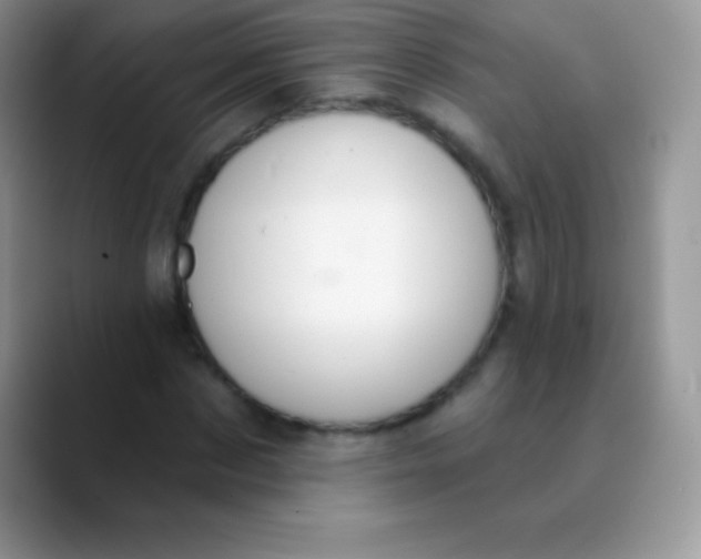 X0000089860873200707191918