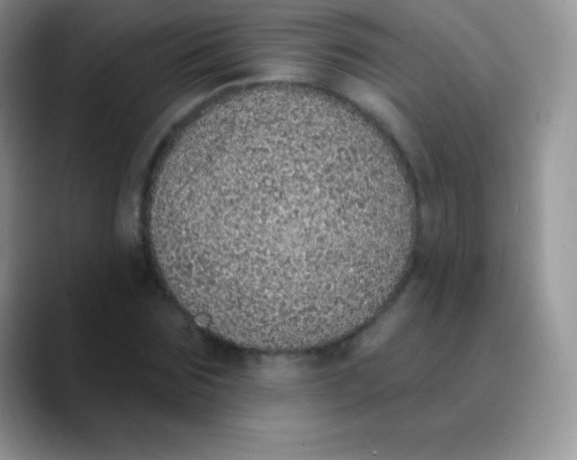 X0000089860875200707191918