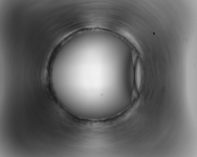 X0000089860876200707191918