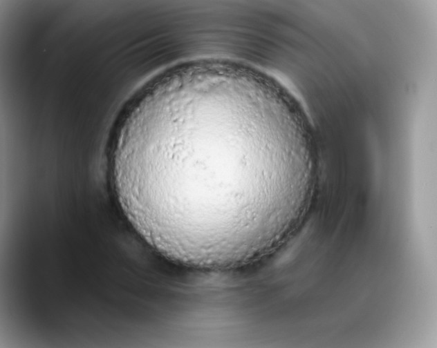 X0000089860879200707191918