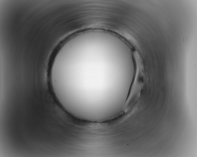 X0000089860880200707191918