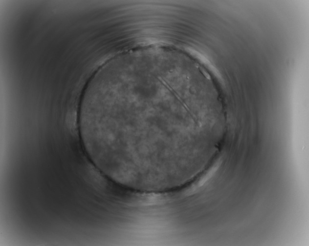 X0000089860881200707191918