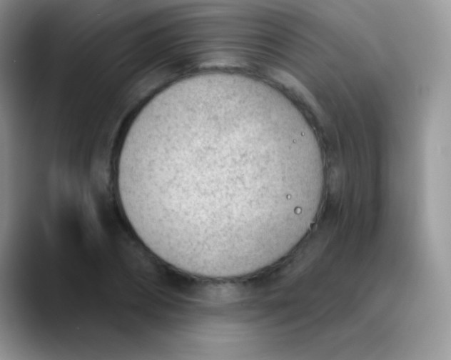 X0000089860882200707191918