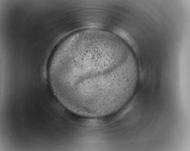 X0000089860883200707191918