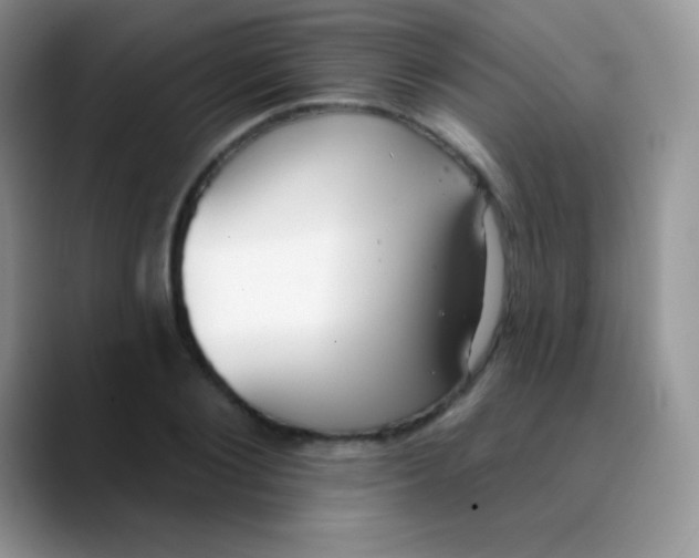 X0000089860884200707191918