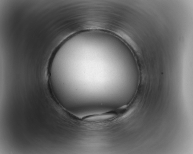 X0000089860885200707191918