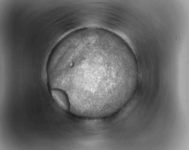 X0000089860887200707191918