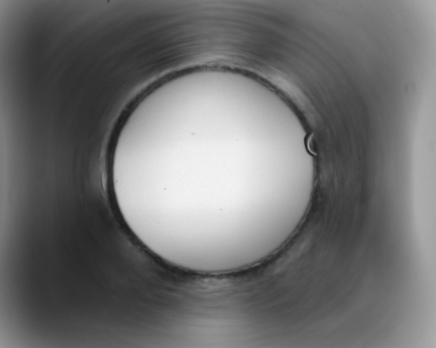 X0000089860888200707191918