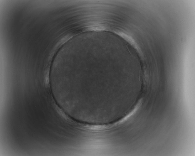 X0000089860889200707191918