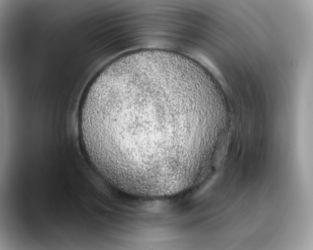 X0000089860891200707191918