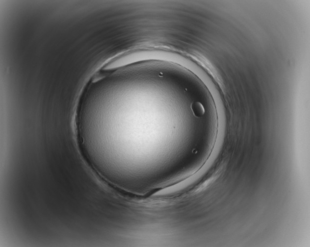 X0000089860893200707191918