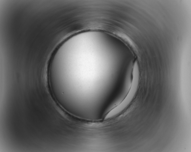 X0000089860894200707191918