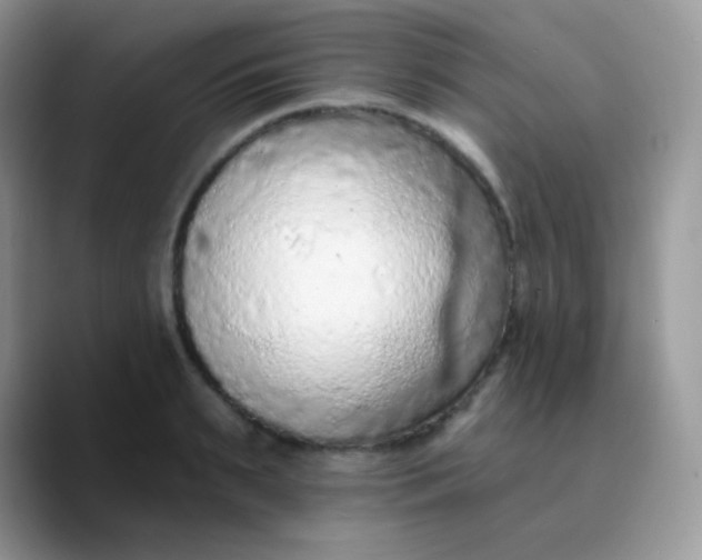 X0000089860895200707191918