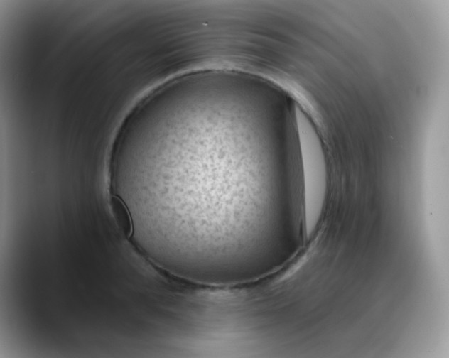 X0000089860896200707191918