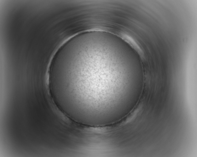 X0000089860900200707191918